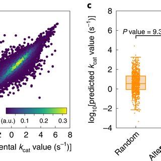 deep learning based kcat prediction.
